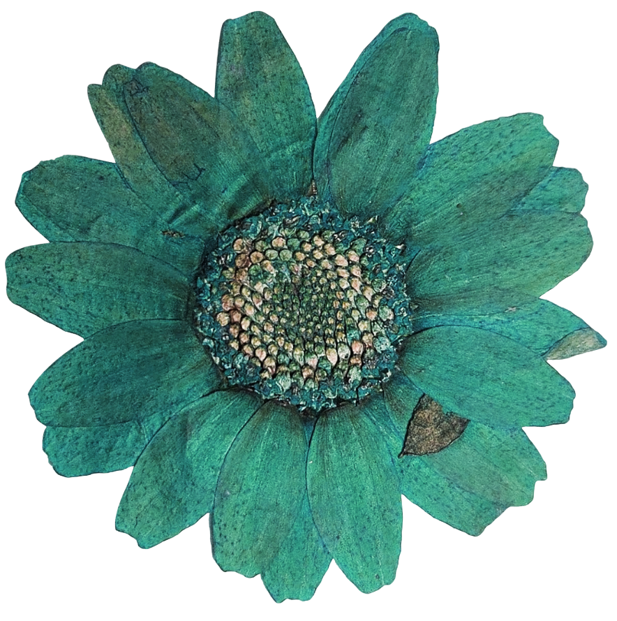 fleur3